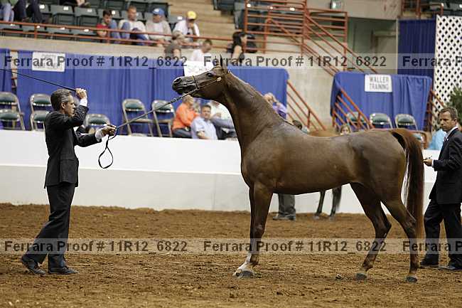 Proof Number 11r12_6822