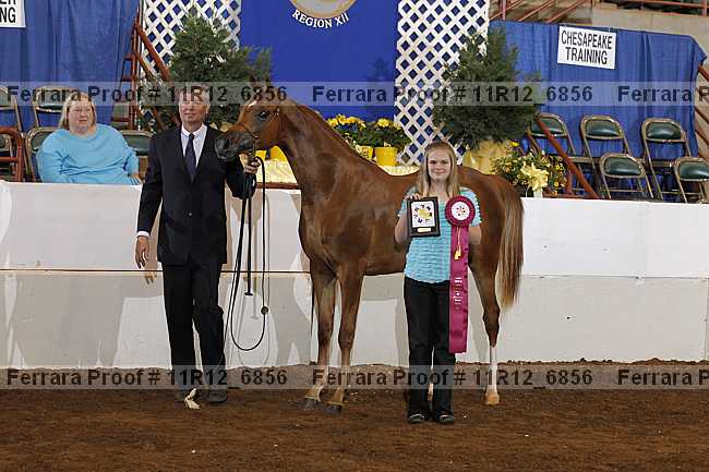 Proof Number 11r12_6856