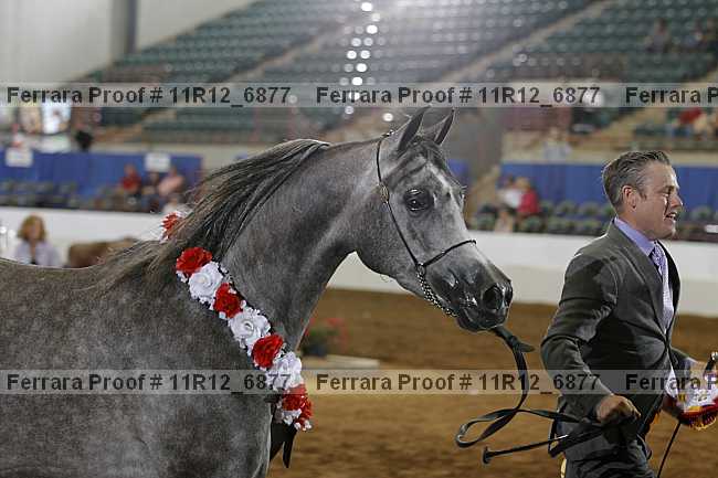 Proof Number 11r12_6877