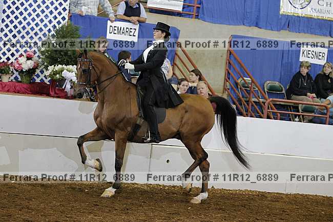 Proof Number 11r12_6889