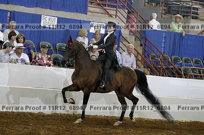 Proof Number 11r12_6894