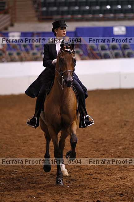 Proof Number 11r12_6904