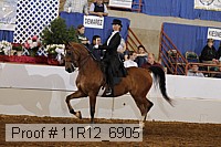 11r12_6905 thumbnail