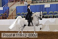 11r12_6909 thumbnail