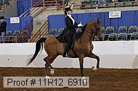 11r12_6910 thumbnail