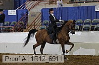 11r12_6911 thumbnail