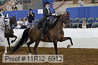 11r12_6912 thumbnail