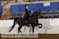 11r12_6913 thumbnail