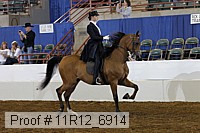 11r12_6914 thumbnail