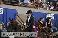 11r12_6917 thumbnail