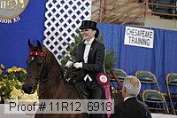 11r12_6918 thumbnail