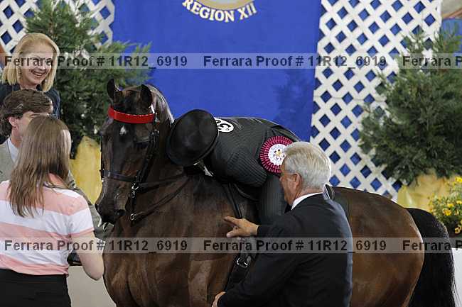 Proof Number 11r12_6919