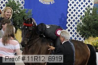 11r12_6919 thumbnail
