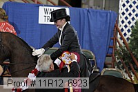 11r12_6923 thumbnail