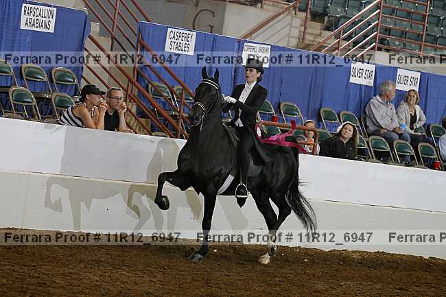 Proof Number 11r12_6947