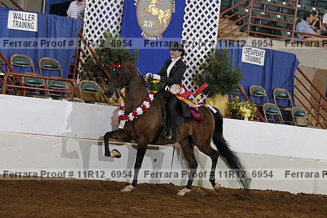 Proof Number 11r12_6954