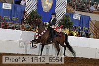 11r12_6954 thumbnail