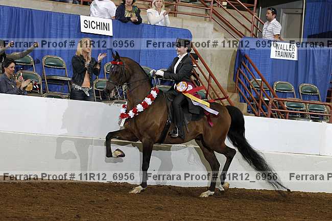 Proof Number 11r12_6956