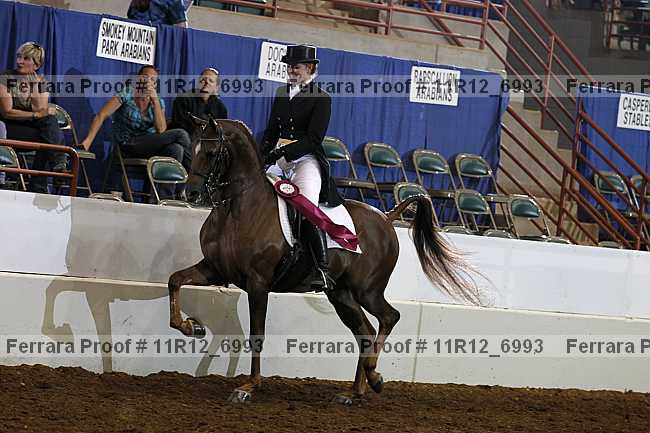 Proof Number 11r12_6993