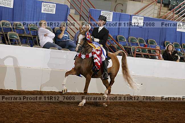 Proof Number 11r12_7008