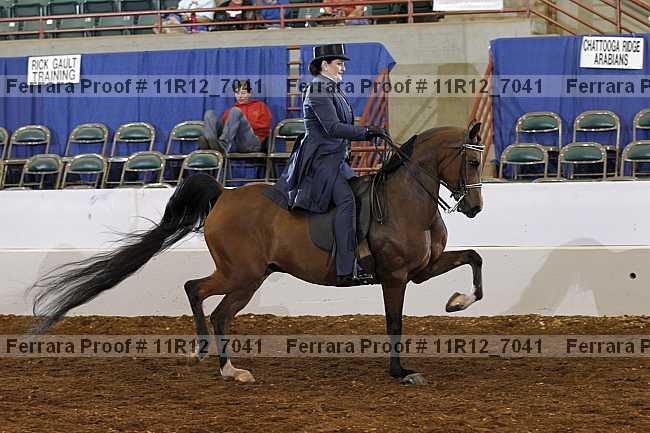 Proof Number 11r12_7041