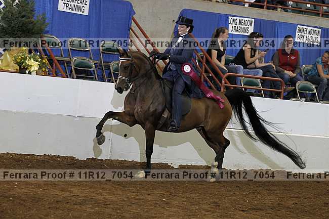 Proof Number 11r12_7054