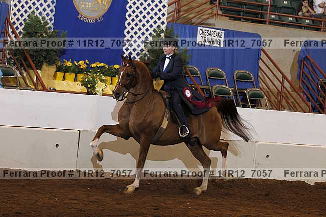 Proof Number 11r12_7057