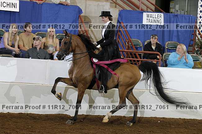 Proof Number 11r12_7061