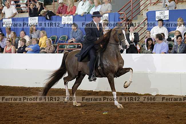 Proof Number 11r12_7106