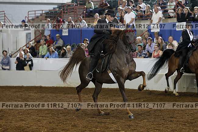 Proof Number 11r12_7107