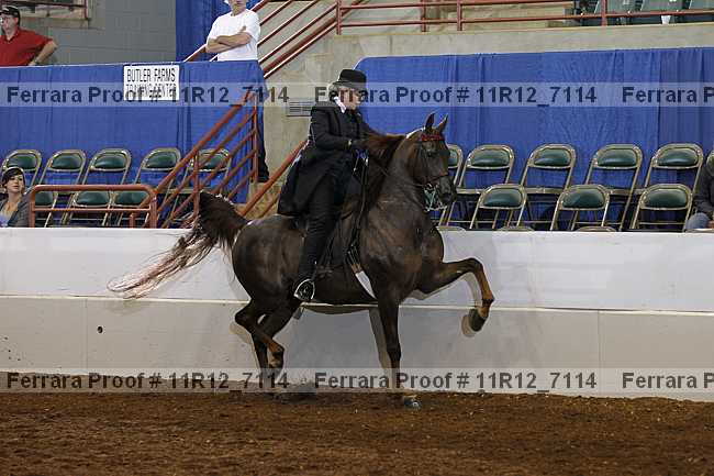 Proof Number 11r12_7114