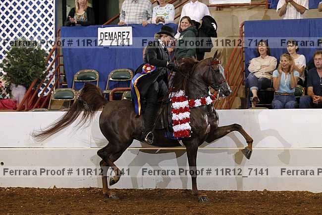 Proof Number 11r12_7141