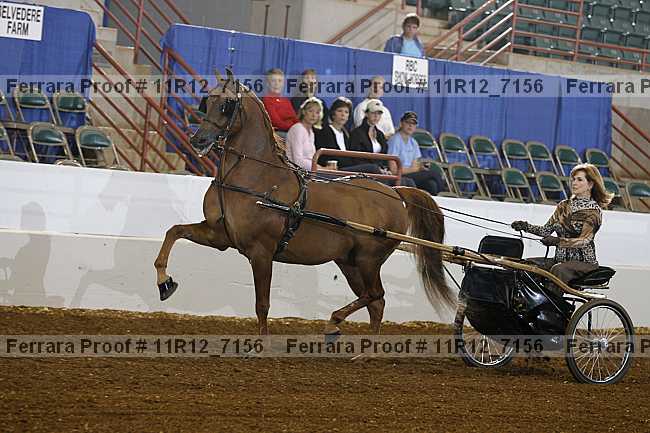 Proof Number 11r12_7156