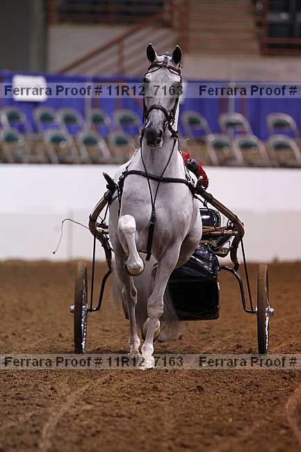 Proof Number 11r12_7163