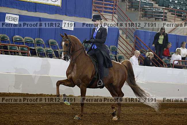 Proof Number 11r12_7191