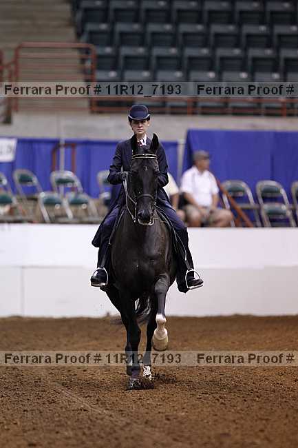 Proof Number 11r12_7193