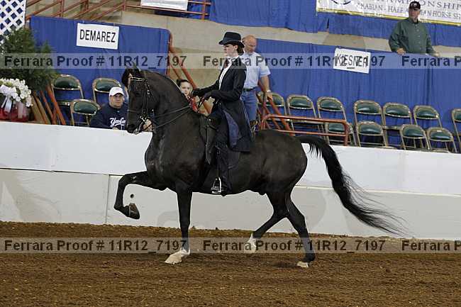 Proof Number 11r12_7197