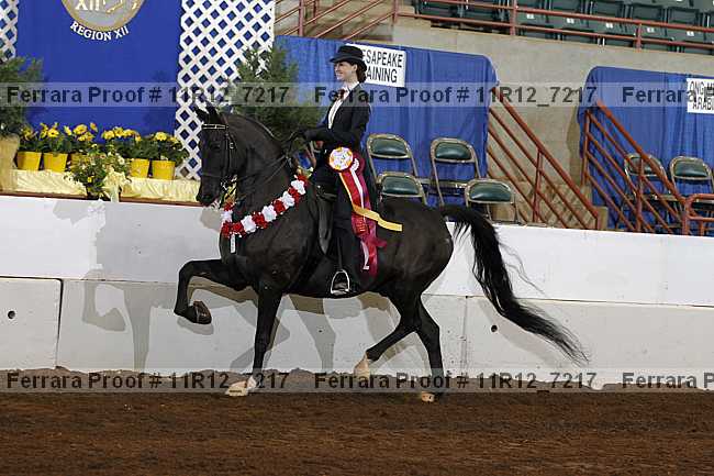 Proof Number 11r12_7217