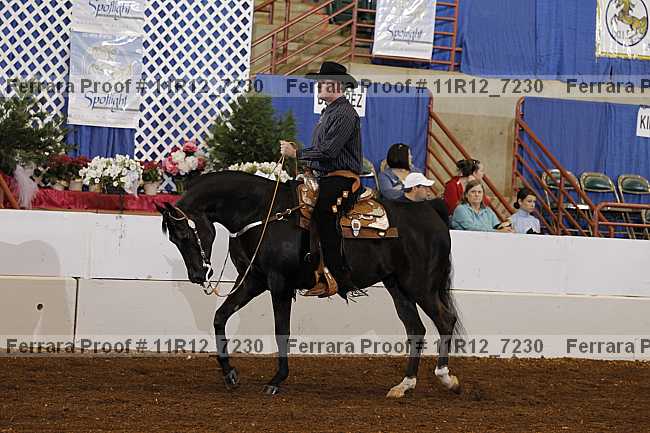 Proof Number 11r12_7230