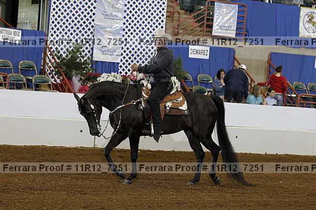 Proof Number 11r12_7251