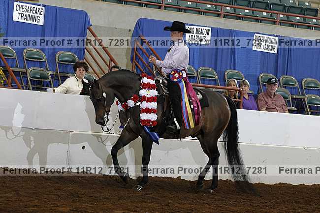 Proof Number 11r12_7281