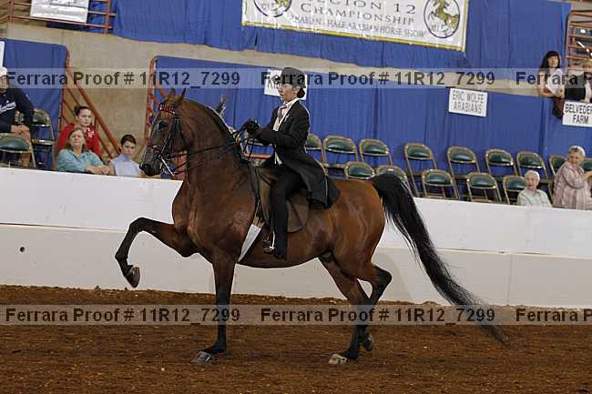 Proof Number 11r12_7299