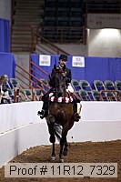11r12_7329 thumbnail