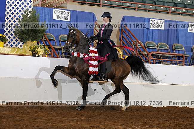 Proof Number 11r12_7336