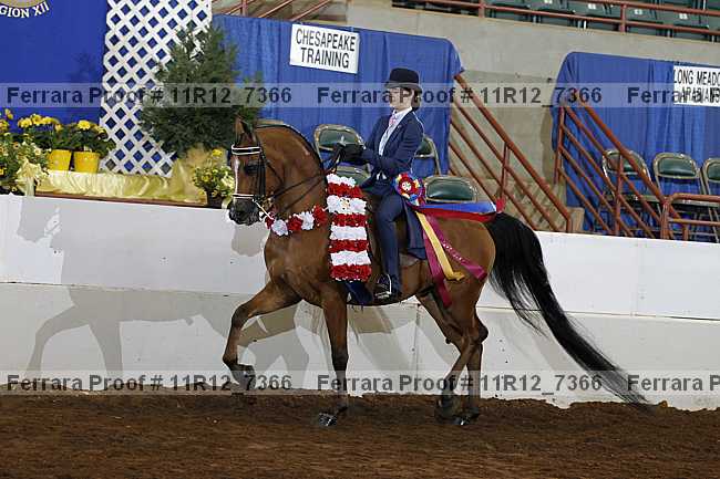 Proof Number 11r12_7366