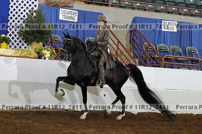 Proof Number 11r12_7411