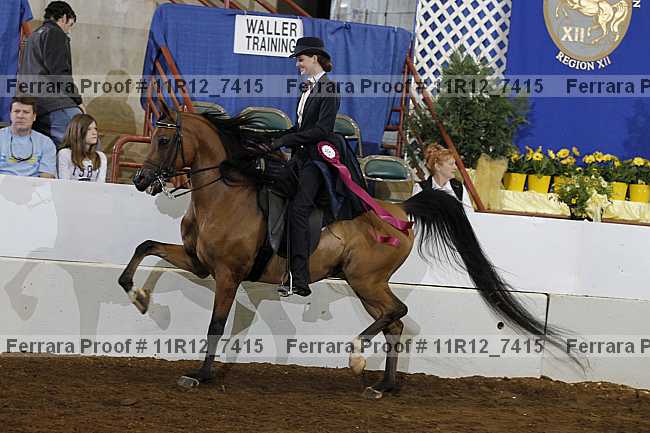 Proof Number 11r12_7415