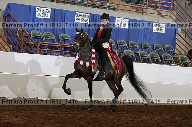 Proof Number 11r12_7419