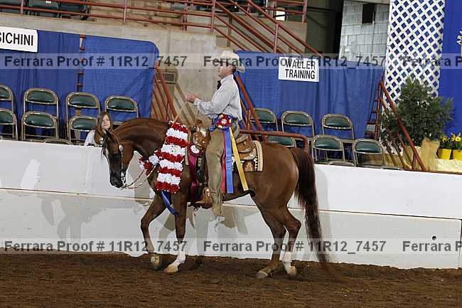 Proof Number 11r12_7457