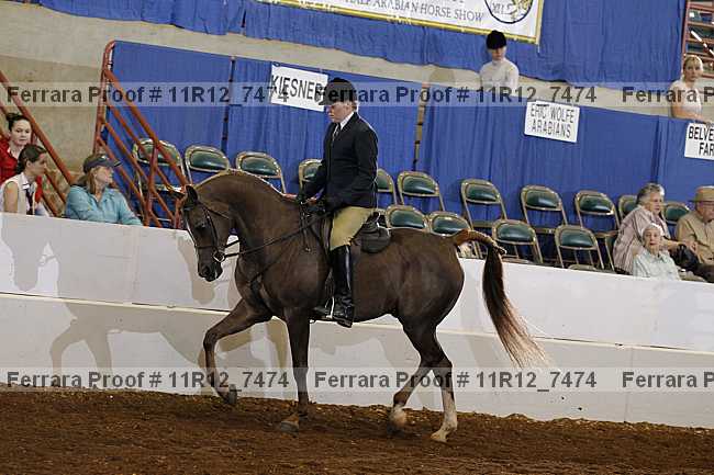 Proof Number 11r12_7474